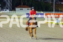 2026_PACEPIX_GP27032026_RACE3_MadMonday_WIN_WEB-1