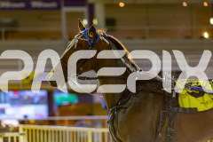 2026_PACEPIX_GP27032026_RACE3_MadMonday_WIN_WEB-25