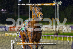 2026_Pacepix_GP18082026_Race3_MadPunta_WIN_WEB-15