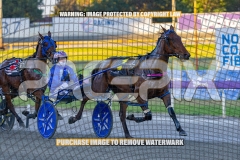 2026_PACEPIX_GP06102026_Race3_ManukaBay_WIN_WEB-1