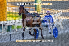 2026_PACEPIX_GP06102026_Race3_ManukaBay_WIN_WEB-16