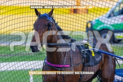 2026_PACEPIX_GP06102026_Race3_ManukaBay_WIN_WEB-18