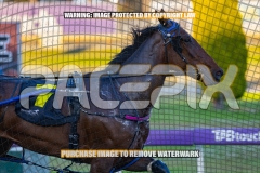 2026_PACEPIX_GP06102026_Race3_ManukaBay_WIN_WEB-2