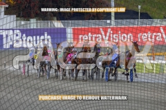 2026_PACEPIX_GP06102026_Race3_ManukaBay_WIN_WEB-3