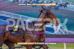 2026_PACEPIX_GP06102026_Race3_ManukaBay_WIN_WEB-6