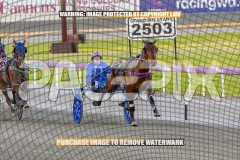 2026_PACEPIX_GP06102026_Race3_ManukaBay_WIN_WEB-9
