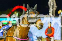 2026_Pacepix_GP28042026_RACE3_ManukaHoney_WIN_WEB-13