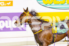 2025_PACEPIX_GP05092025_RACE3_MightyRonaldo_WIN_WEB-31