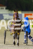 2025_PACEPIX_GP05092025_RACE3_MightyRonaldo_WIN_WEB-35