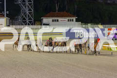 2025_PACEPIX_GP05092025_RACE3_MightyRonaldo_WIN_WEB-8