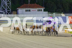 2025_PACEPIX_GP19092025_Race3_MikisPride_WIN_WEB-5