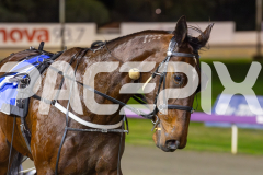 2025_PACEPIX_GP27062025_RACE3_MIKIS-PRIDE_WIN_WEB-7