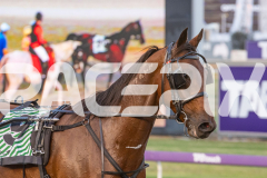 RACE 3 - Minos