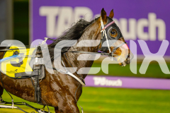 2025_PACEPIX_GP24062025_RACE3_MissKNowall_WIN_WEB-10