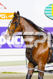 2026_PACEPIX_GP12052026_Race3_MissLeopatra_WIN_WEB-16