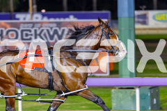 2026_PACEPIX_GP12052026_Race3_MissLeopatra_WIN_WEB-2