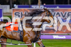 2026_PACEPIX_GP12052026_Race3_MissLeopatra_WIN_WEB-6