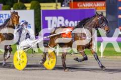2025_PACEPIX_GP29082025_RACE3_MySilverSpoon_WIN_WEB-3
