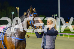 Gloucester Park - 26/05/2026