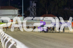 2026_PACEPIX_GP26052026_RACE3_MystaMoonWalker_WIN_WEB-1