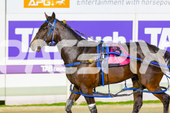2026_PACEPIX_GP26052026_RACE3_MystaMoonWalker_WIN_WEB-17