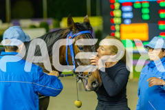 RACE 3 - Mysta Moon Walker