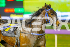 2025_PACEPIX_GP10062025_RACE3_MystaMoonWalker_WIN_WEB-14