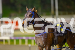2025_PACEPIX_GP10062025_RACE3_MystaMoonWalker_WIN_WEB-18