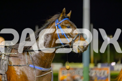 2025_PACEPIX_GP10062025_RACE3_MystaMoonWalker_WIN_WEB-26