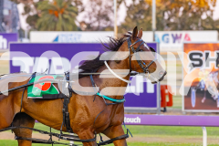 2025_PACEPIX_GP05122025_RACE3_NaseVera_WIN_WEB-15