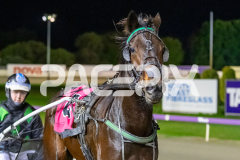 On-The-Back-Foot_16-06-2026_WIN_Gloucester-Park_3__09