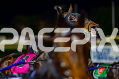 2026_PACEPIX_GP03072026_Race3_OpalHunter_WIN_WEB-2