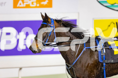 2026_PACEPIX_GP03072026_Race3_OpalHunter_WIN_WEB-24
