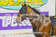 2026_Pacepix_GP31072026_Race3_OurCrunchTime_WIN_WEB-7