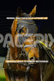 2026_Pacepix_GP31072026_Race3_OurCrunchTime_WIN_WEB-8