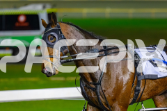 2026_PACEPIX_GP29052026_RACE3_OurCrunchTime_WIN_WEB-18
