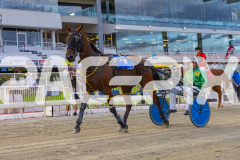 RACE 3 - Our Major Jack