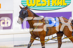 2026_PACEPIX_GP09012026_Race3_OurMajorJack_WIN_WEB-12