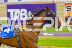 2026_PACEPIX_GP09012026_Race3_OurMajorJack_WIN_WEB-9