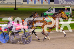 2025_PACEPIX_GP13052025_Race3_PaintThePalette_WIN_WEB-10