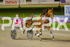 2025_PACEPIX_GP13052025_Race3_PaintThePalette_WIN_WEB-13