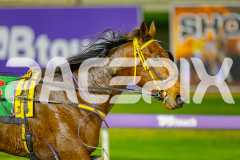 2025_PACEPIX_GP13052025_Race3_PaintThePalette_WIN_WEB-14