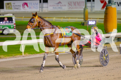 2025_PACEPIX_GP13052025_Race3_PaintThePalette_WIN_WEB-15