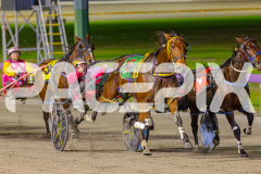 2025_PACEPIX_GP13052025_Race3_PaintThePalette_WIN_WEB-4