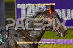 2026_Pacepix_GP23102026_Race3_PennyBlack_WIN_WEB-10