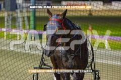 2026_Pacepix_GP23102026_Race3_PennyBlack_WIN_WEB-12
