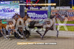 2026_Pacepix_GP23102026_Race3_PennyBlack_WIN_WEB-8