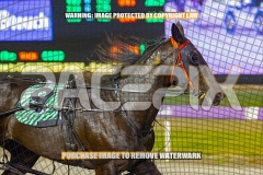 2026_Pacepix_GP23102026_Race3_PennyBlack_WIN_WEB-9