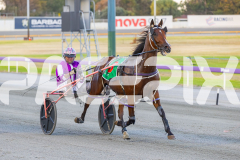 2026_Pacepix_GP30012026_RACE3_PetesHonour_WIN_WEB-1