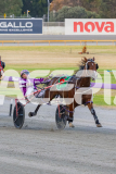 2026_Pacepix_GP30012026_RACE3_PetesHonour_WIN_WEB-19
